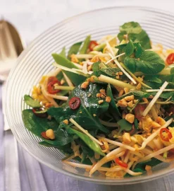 ZEIT Buchhandlung Caldicott, Carolyn & Caldicott, Chris: World Food Café