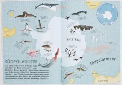 Kinder ZEIT Buchhandlung Der Atlas der Ozeane