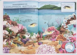 Kinder ZEIT Buchhandlung Der Atlas der Ozeane