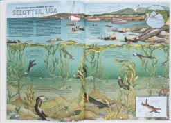 Kinder ZEIT Buchhandlung Der Atlas der Ozeane