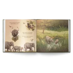 Kinder ZEIT Buchhandlung Der Junge, der einen Wald pflanzte