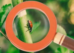 Kinder Small Foot Entdeckergürtel »Discover«