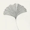 The Poster Club Frois, Ana: »Ginkgo Leaf«