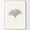 The Poster Club Frois, Ana: »Ginkgo Leaf«, mit Rahmung