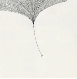 The Poster Club Frois, Ana: »Ginkgo Leaf«, mit Rahmung