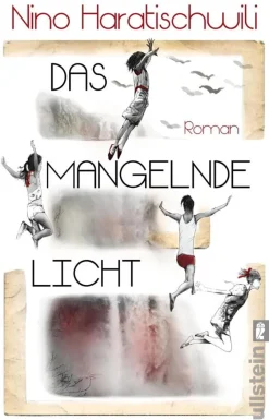 ZEIT Buchhandlung Haratischwili, N: Das mangelnde Licht