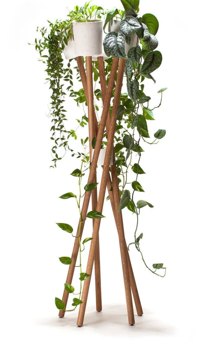 Urbanature Hochgarten