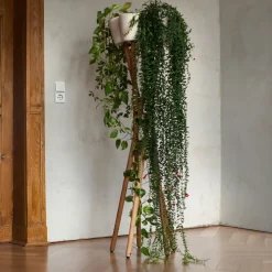 Urbanature Hochgarten