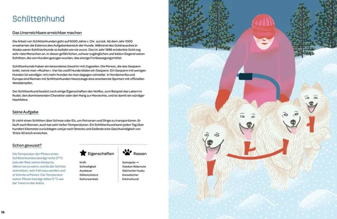 Kinder ZEIT Buchhandlung Hunde am Werk