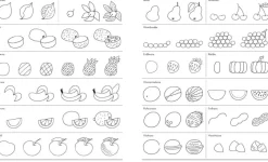 Kinder ZEIT Buchhandlung Ich kann 1000 Dinge zeichnen. Kritzeln wie ein Profi!