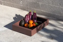 util KGT Aufbewahrungsbox