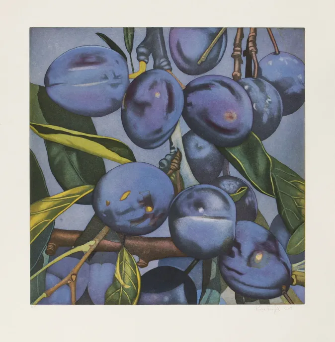 Karin Kneffel Kneffel, Karin: »Pflaumen«, 2005