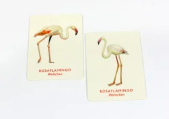 Kinder Laurence King Verlag Memo Spiel »Vogelpaare«