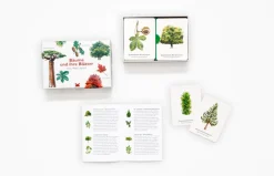 Kinder Laurence King Verlag Memo-Spiel »Bäume und ihre Blätter«