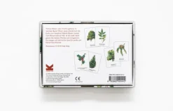 Kinder Laurence King Verlag Memo-Spiel »Bäume und ihre Blätter«