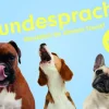 Kinder Laurence King Verlag Memo-Spiel »Hundesprache - Verstehst du deinen Hund?«