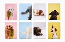 Kinder Laurence King Verlag Memo-Spiel »Hundesprache - Verstehst du deinen Hund?«