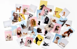 Kinder Laurence King Verlag Memo-Spiel »Hundesprache - Verstehst du deinen Hund?«