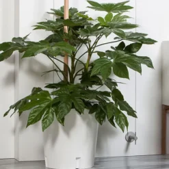 Urbanature Mobiler Pflanzkübel