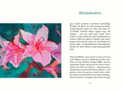 DIE ZEIT Neulich im Beet