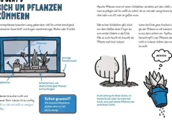 Kinder ZEIT Buchhandlung Newman, Catherine: Alles, was Du in der Schule nicht lernst