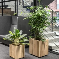 Squarely Pflanzgefäß »GrowBIG«