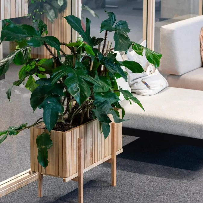 Squarely Pflanzgefäß »GrowWIDE«