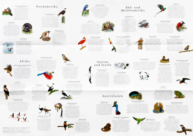 Kinder Laurence King Verlag Puzzle »In 50 Vögeln um die Welt«