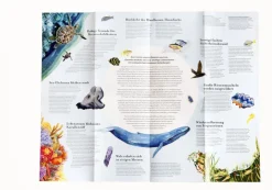 Kinder Laurence King Verlag Puzzle »Wilde Ozeane«