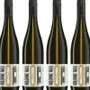 KOLONNE NULL Sauvignon Blanc 2023, alkoholfrei, 6er Set
