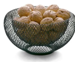 Philippi Schale »Mesh«