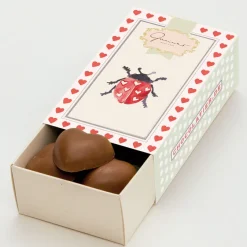 Gmeiner Schokobox »Viel Glück«