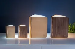 Gingko Design Ltd Smart Booklight »Ahorn«