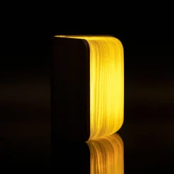 Gingko Design Ltd Smart Booklight »Ahorn«