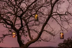 Sonnenglas GmbH Sonnenglas Classic