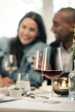 Zwiesel Kristallglas Weingläser Sommelier-Bundle »Vervino«