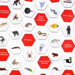 Kinder Laurence King Verlag Wimmel Such Spiel »Erste*r sein!«