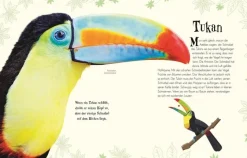 Kinder ZEIT Buchhandlung Wundervolle Welt der Tiere