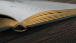 Kinder ZEIT Buchhandlung Wundervolle Welt der Tiere