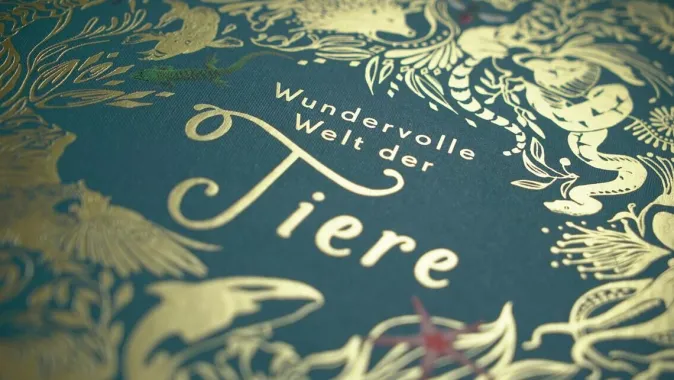 Kinder ZEIT Buchhandlung Wundervolle Welt der Tiere