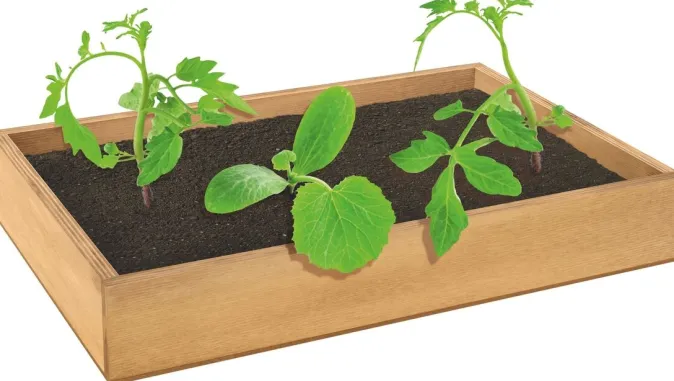 Kinder DIE ZEIT ZEIT LEO-Edition »Mein kleiner Garten«