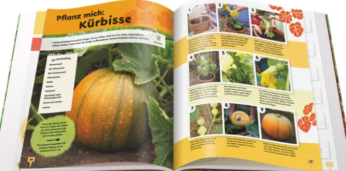 Kinder DIE ZEIT ZEIT LEO-Edition »Mein kleiner Garten«