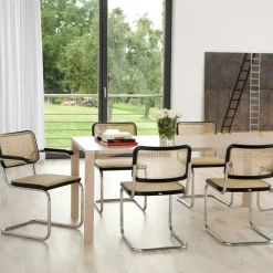 Thonet ZEIT-Sonderedition Stahlrohr-Freischwinger »S 64« von