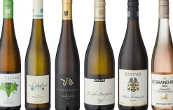 DIE ZEIT ZEIT-Weinedition »Pfalz«